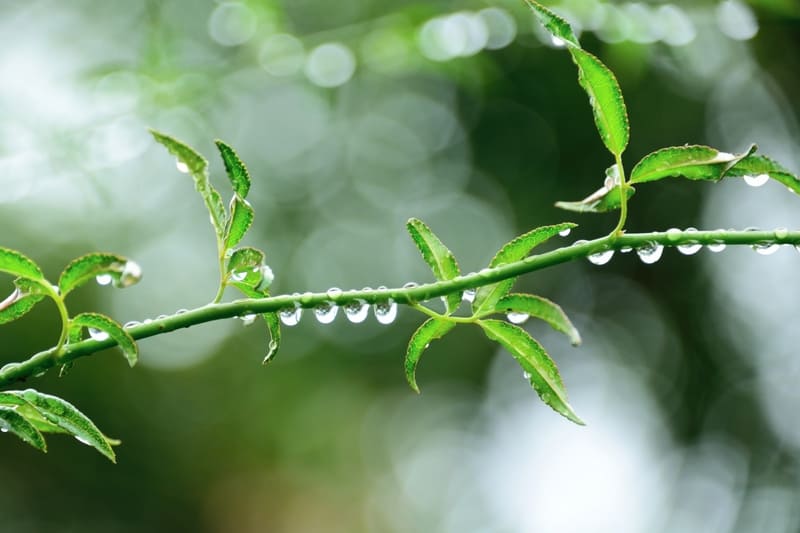 エコキュートを洪水やゲリラ豪雨から守るには?水害対策と火災保険適用について解説